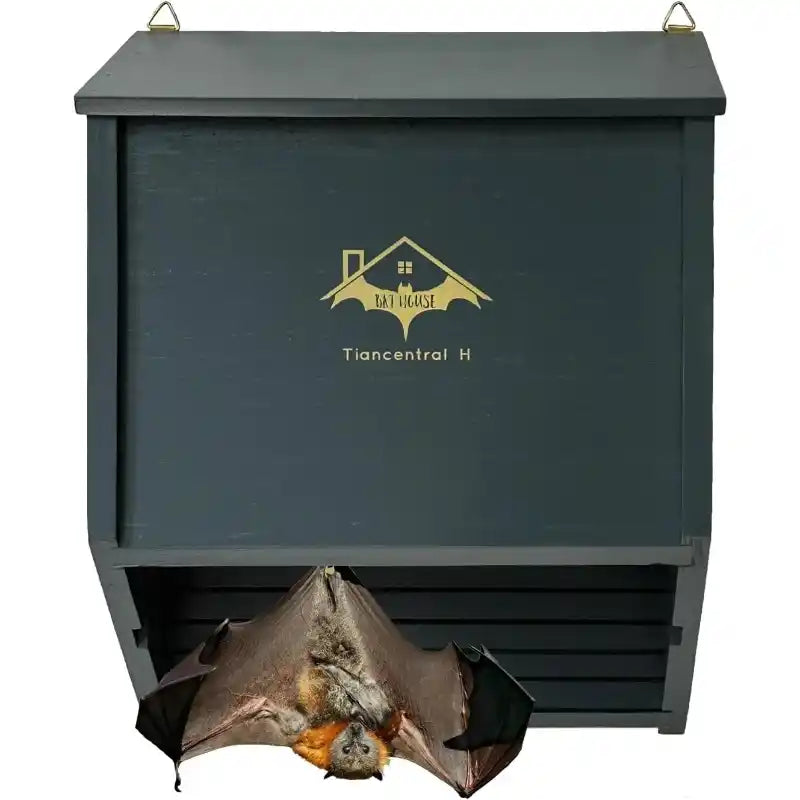 Bathouse Outdoor 2 Chambers Grey 32cm Bat Box for Outdoor