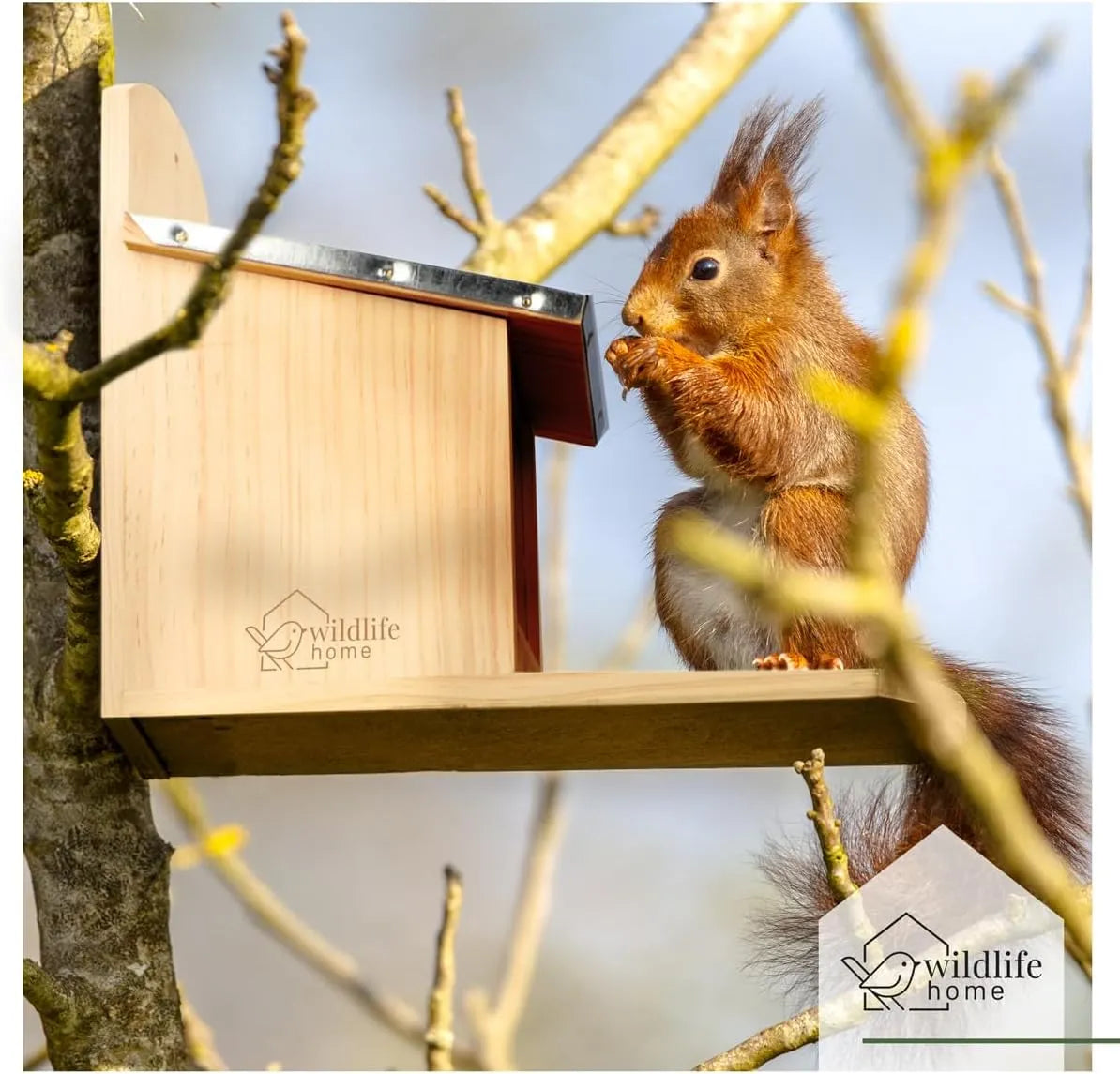 Bathouse Squirrel Feeder with Metal Roof