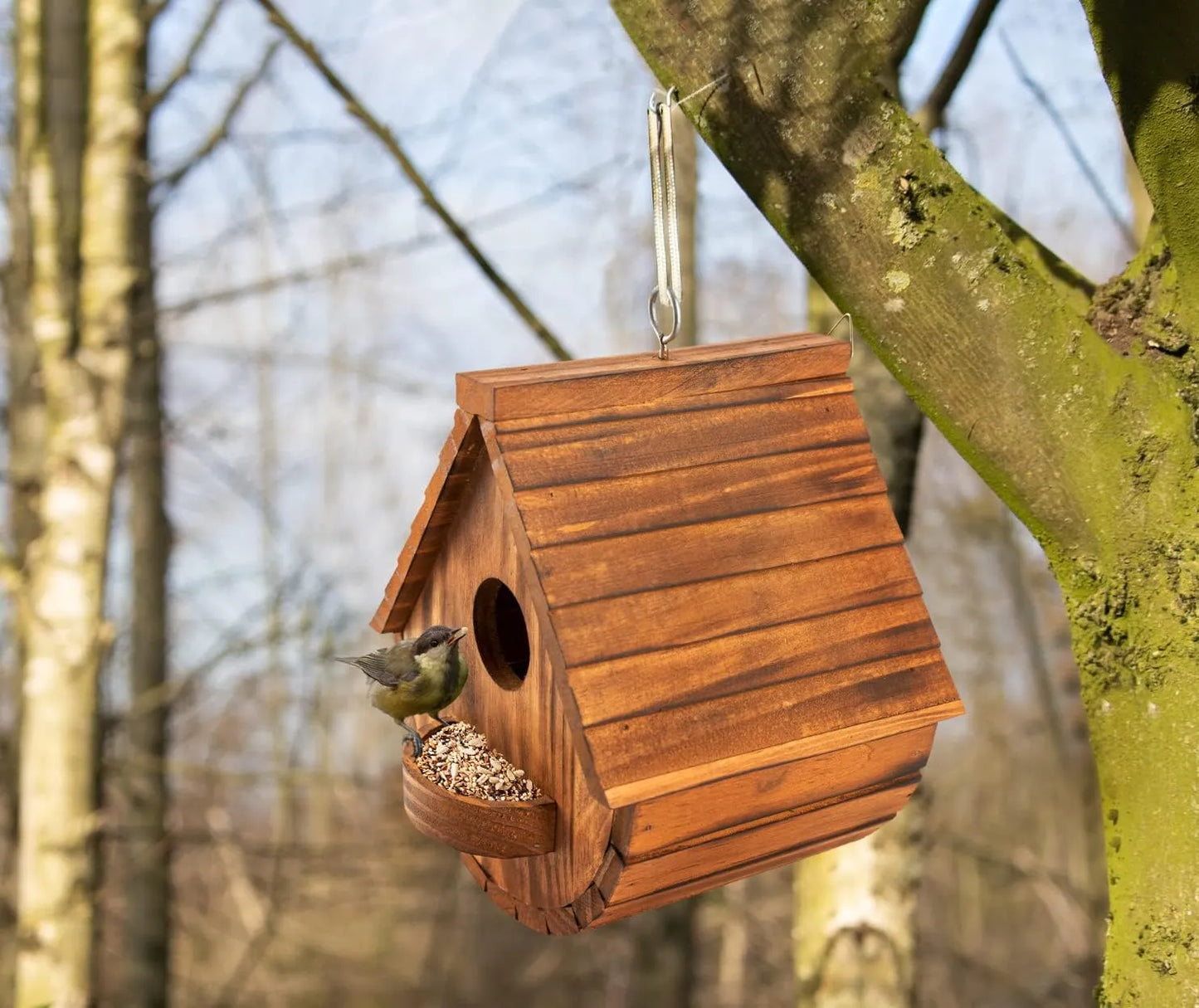 Bathouse Set of 2 Bird Houses for Outside