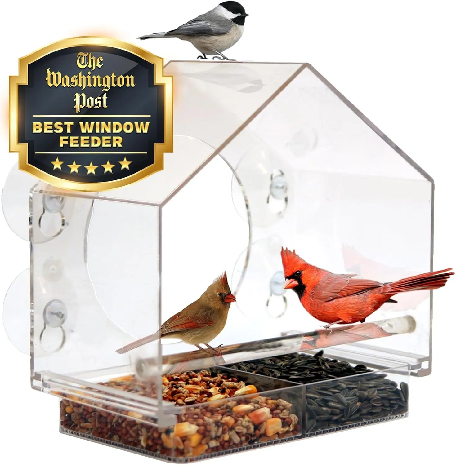 Bathouse Premium Clear Plastic Window Bird Feeder for Outside