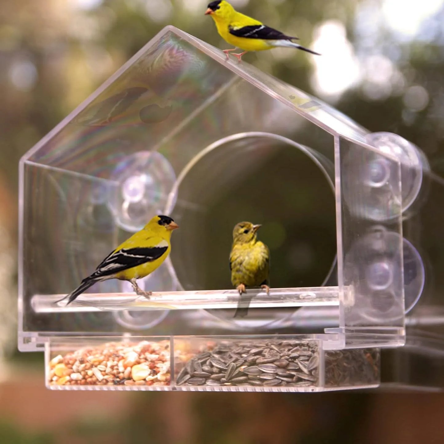 Bathouse Premium Clear Plastic Window Bird Feeder for Outside