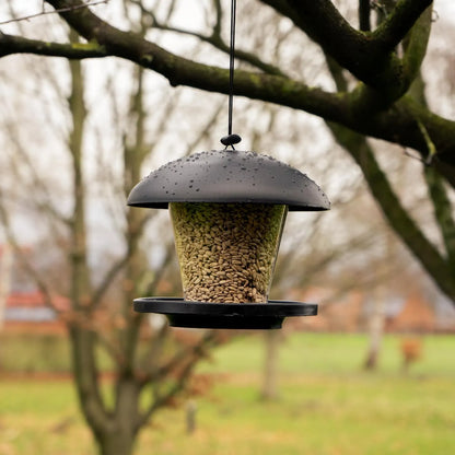 Bathouse Hanging Bird Feeder