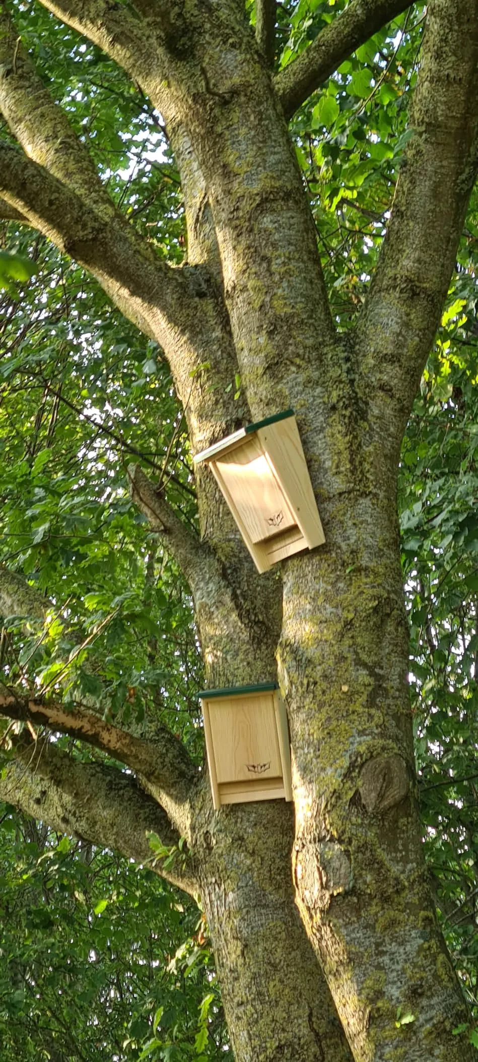 Bathouse Nest for bats box 28 x 17 x 13 cm