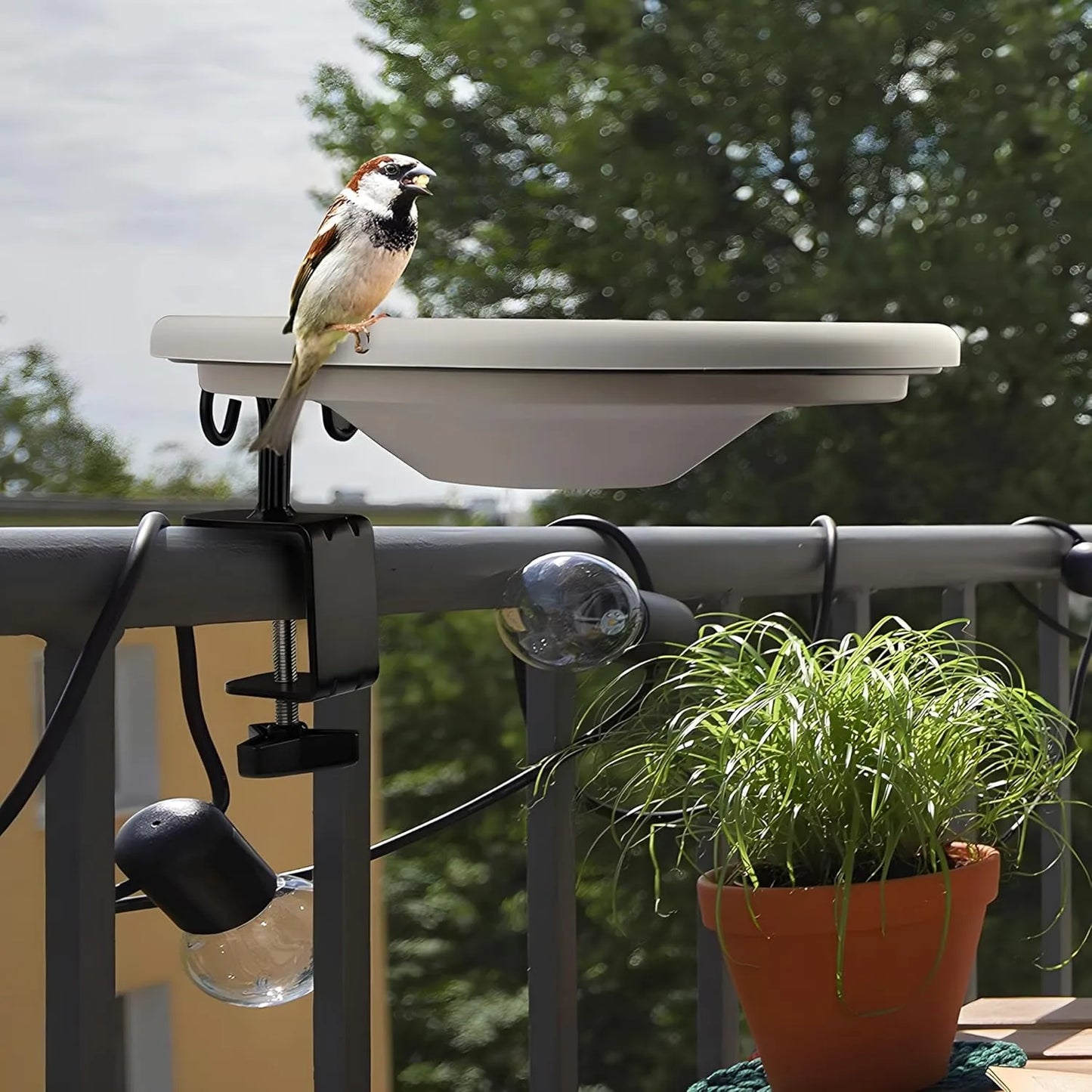 Bathouse bird bath, feeding bowl with balcony holder