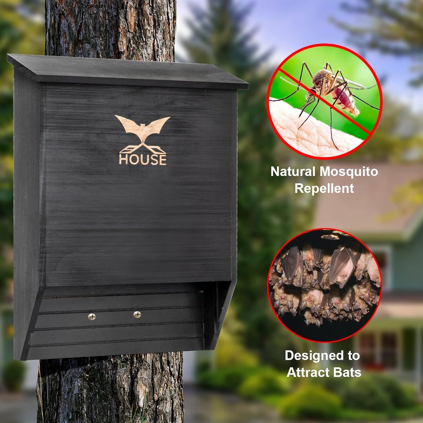 2-Chamber Bat Box for Outdoor and Tree