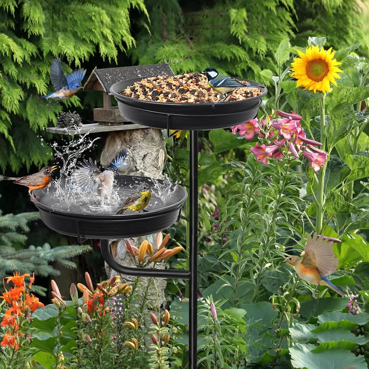 Bathouse Freestanding Birdbaths Bowl Outdoor