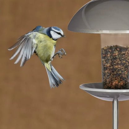 Bathouse Bird Feeder, Feeder for Birds, Hanging or Staked