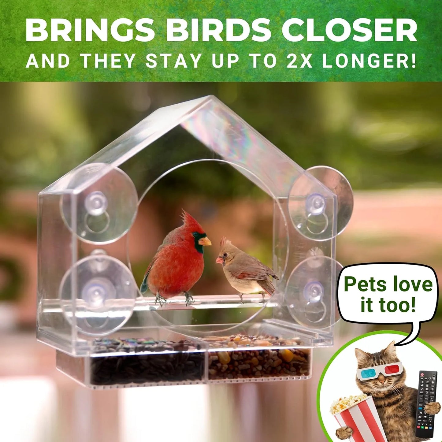 Bathouse Premium Clear Plastic Window Bird Feeder for Outside