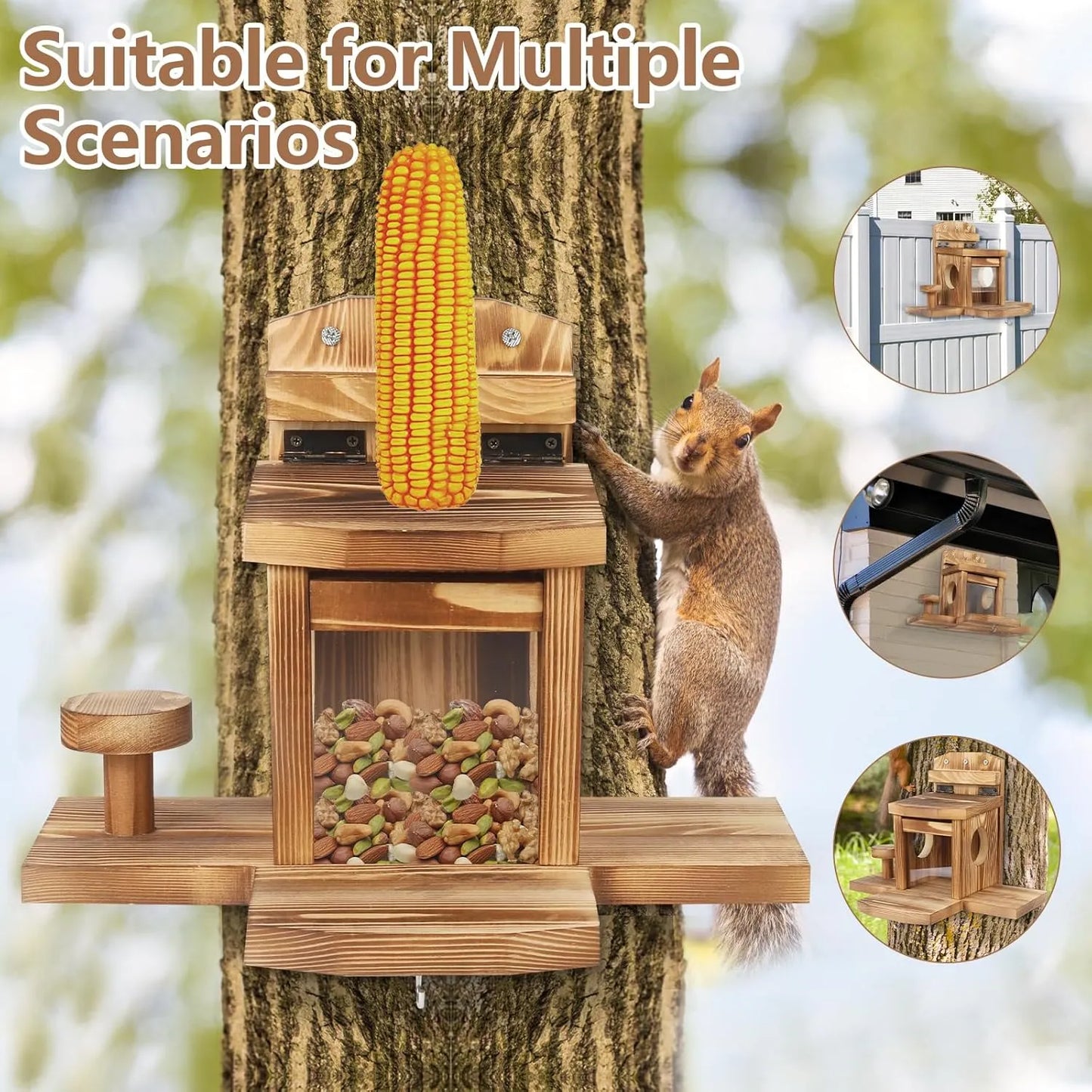 Bathouse Squirrel Feeder, Squirrel Feeder Weatherproof