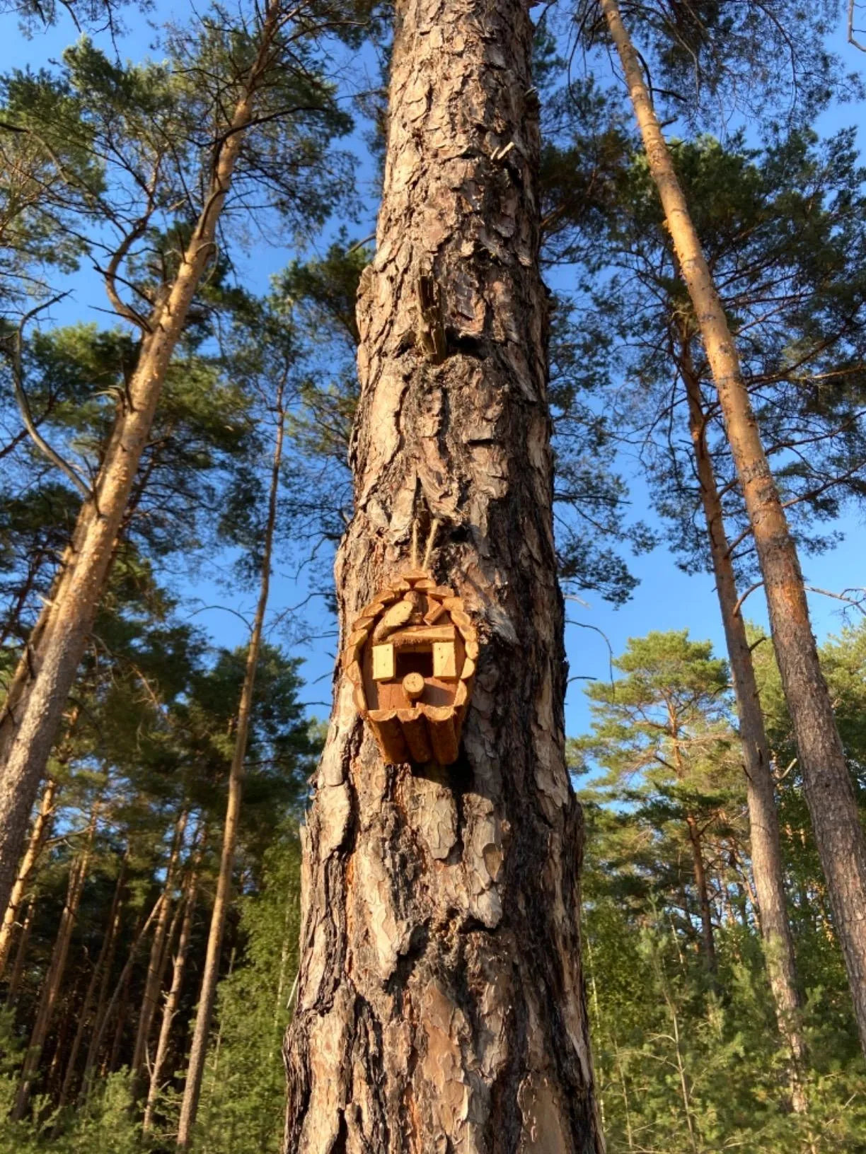 Bathouse Purple Martin House, for Hanging, Untreated Wood