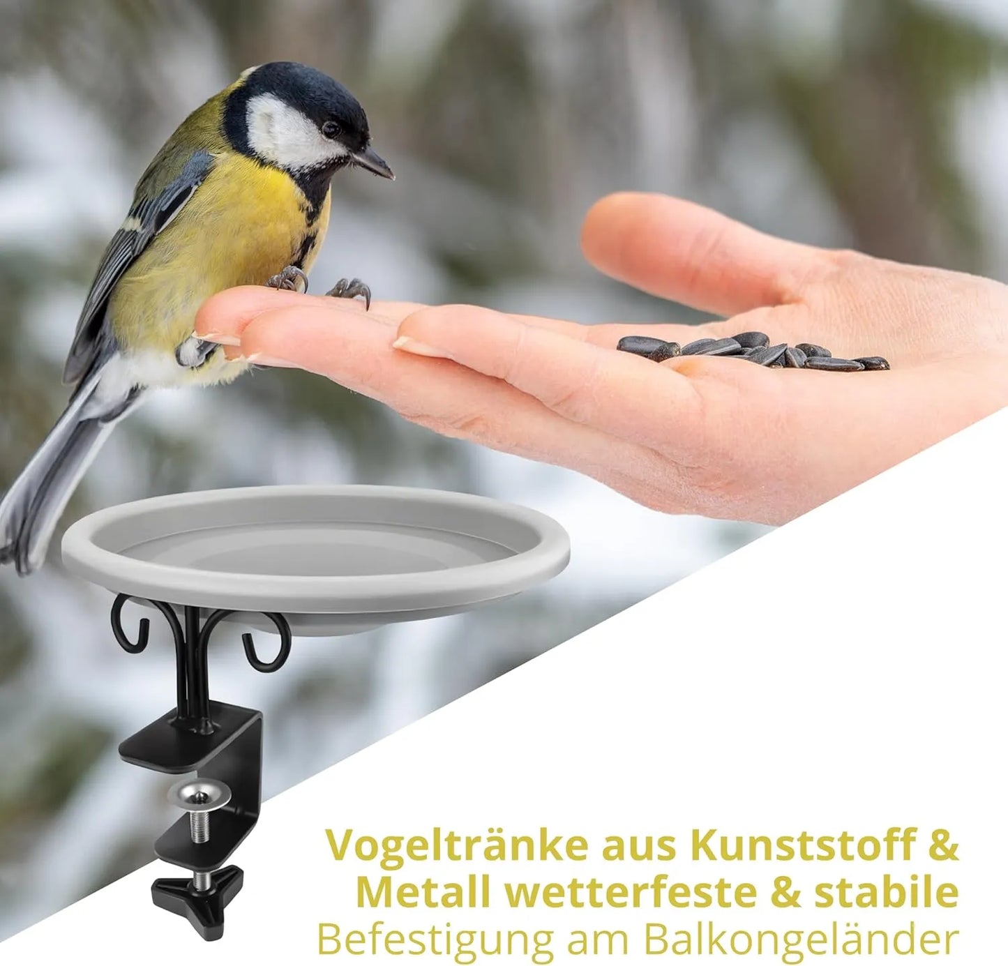 Bathouse bird bath, feeding bowl with balcony holder