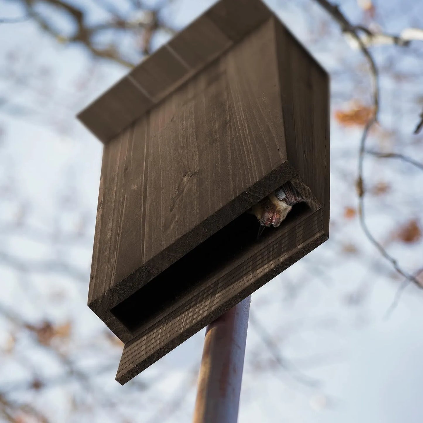 Bathouse Bat Box, Large Shelter for Bats