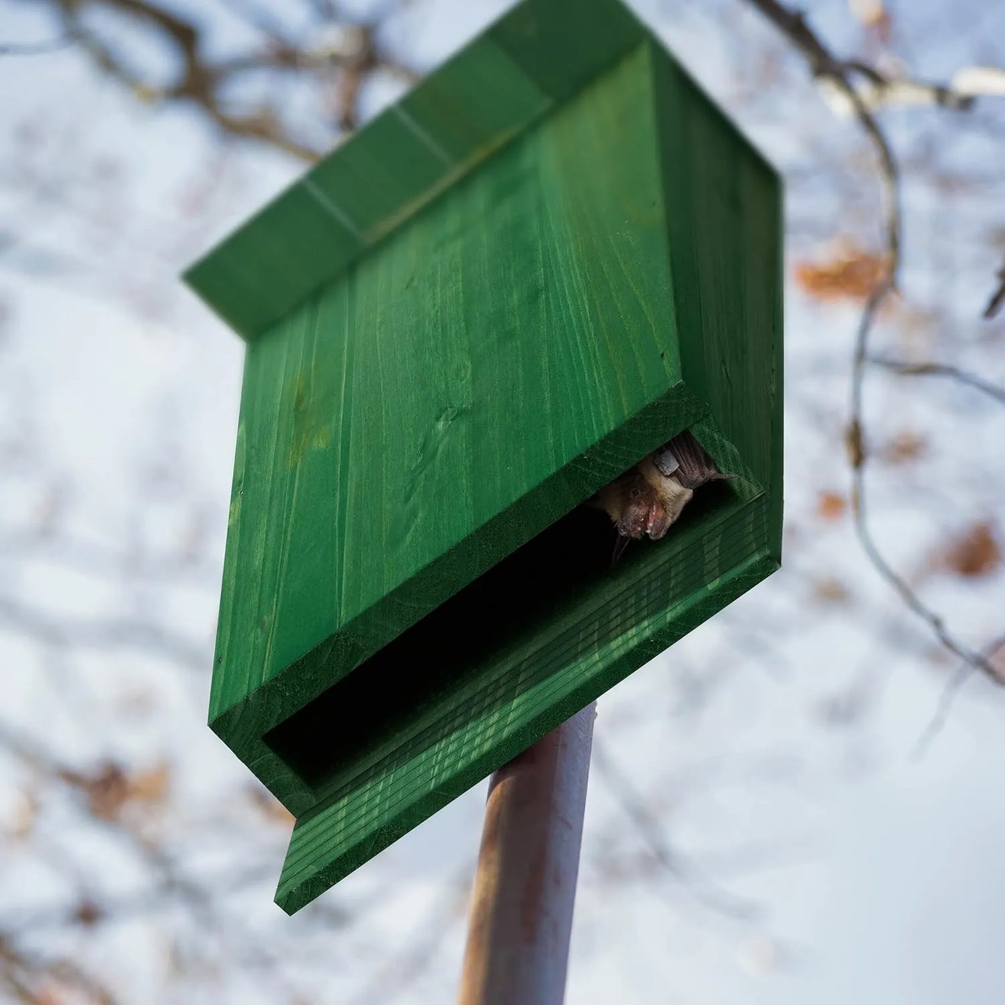 Bathouse Bat Box, Large Shelter for Bats