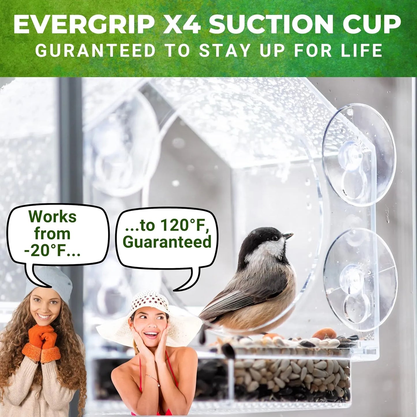 Bathouse Premium Clear Plastic Window Bird Feeder for Outside