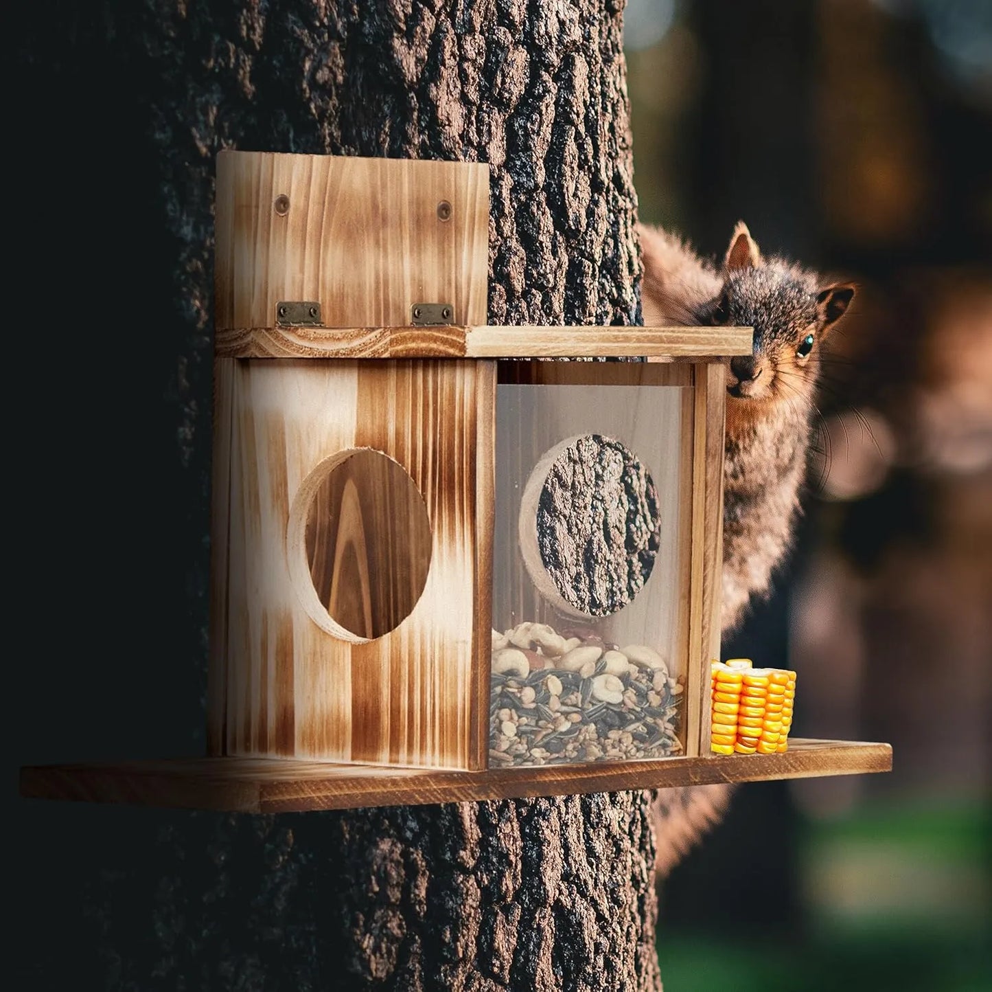 Bathouse Squirrel Feeder Wooden 2 Entrance