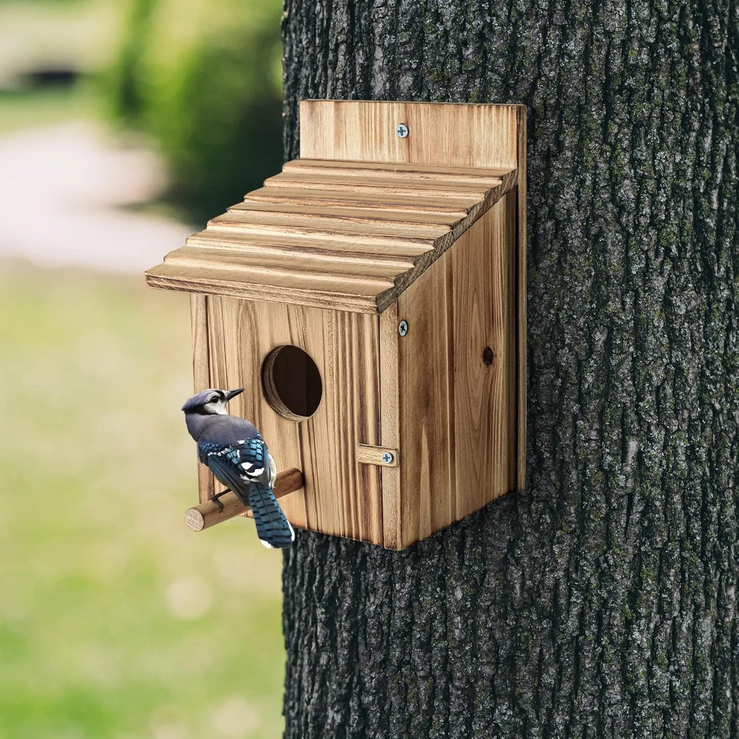 Outdoor hanging wooden bird house with pole