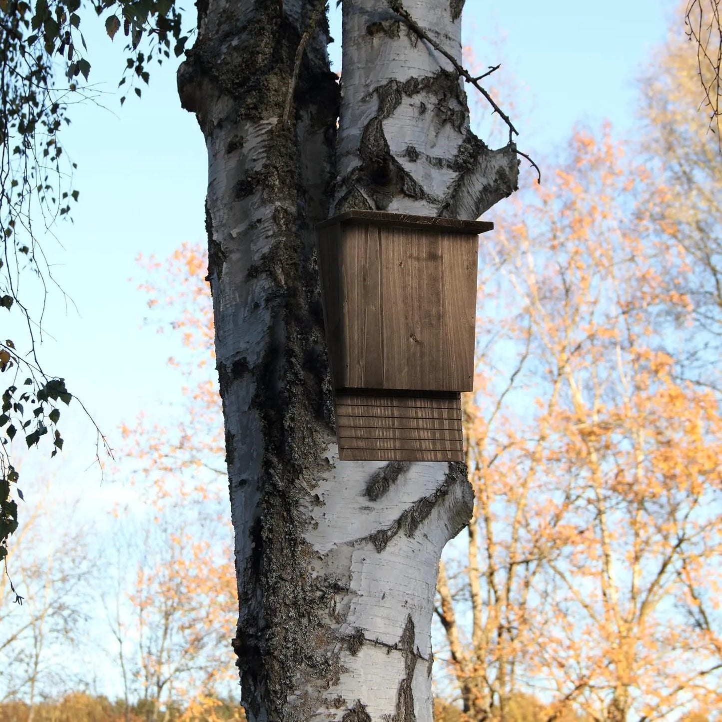 Bathouse Bat Box, Large Shelter for Bats