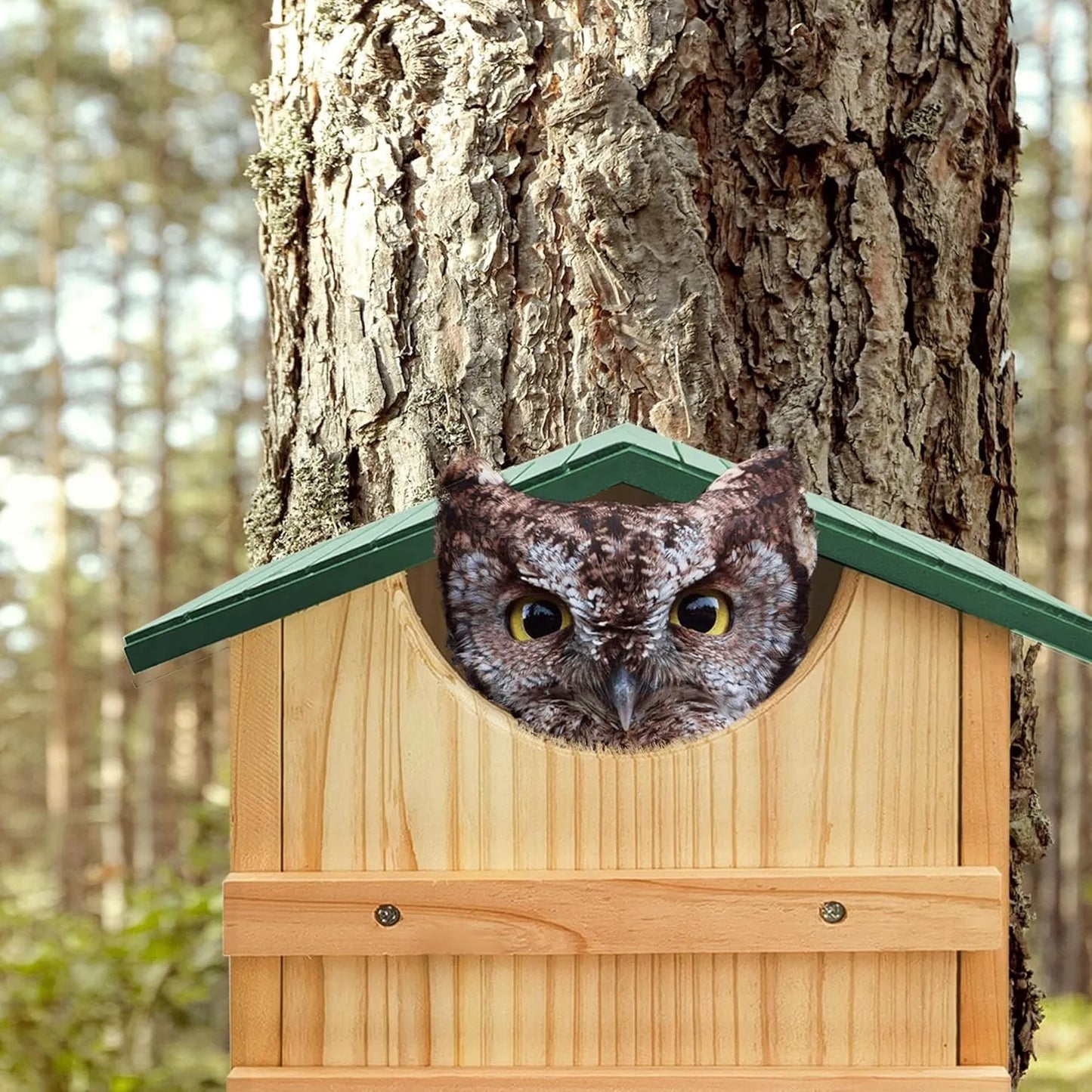 Bathouse Screech Owl House Handmade 14 x 10 inches