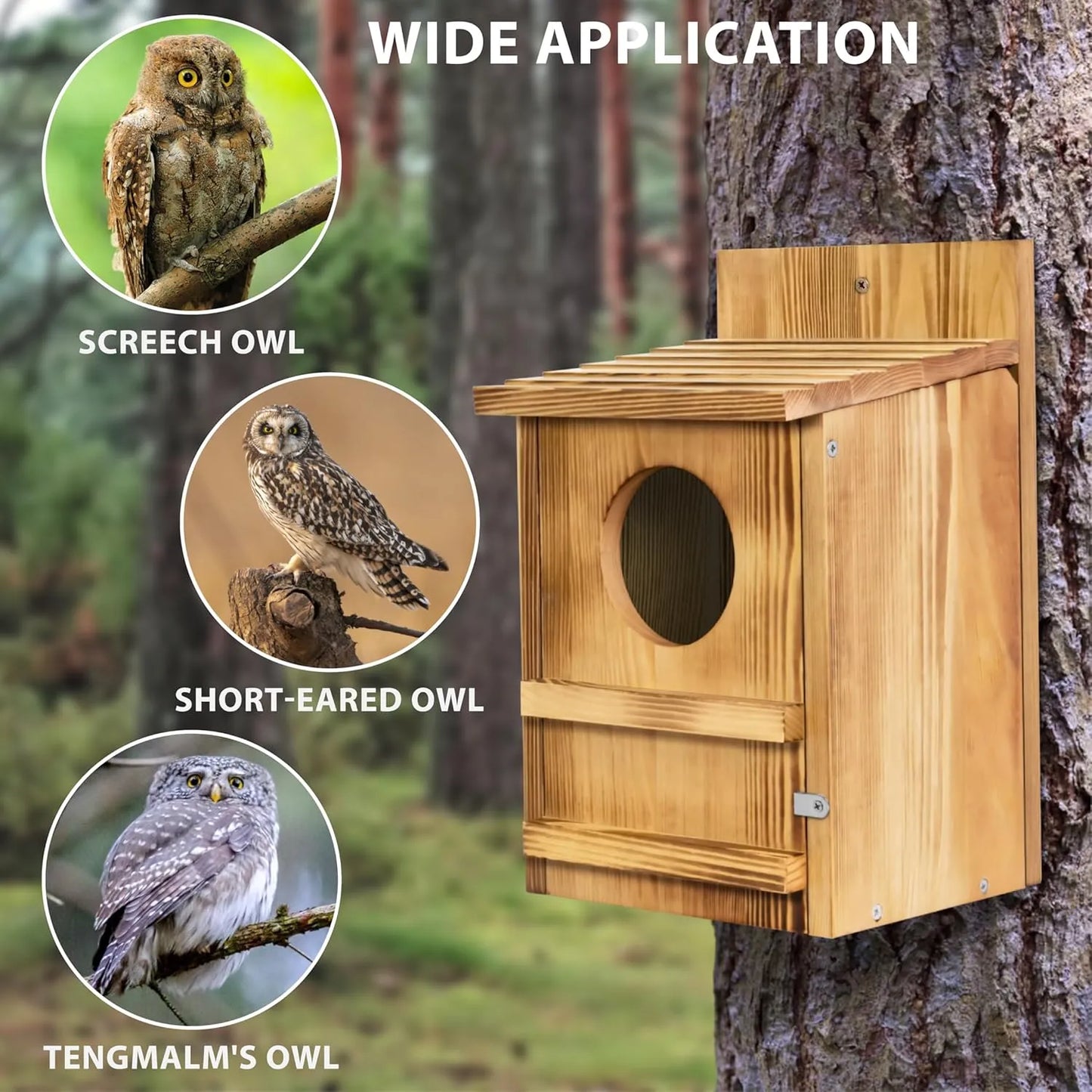 Bathouse Owl House Owl Bird Box