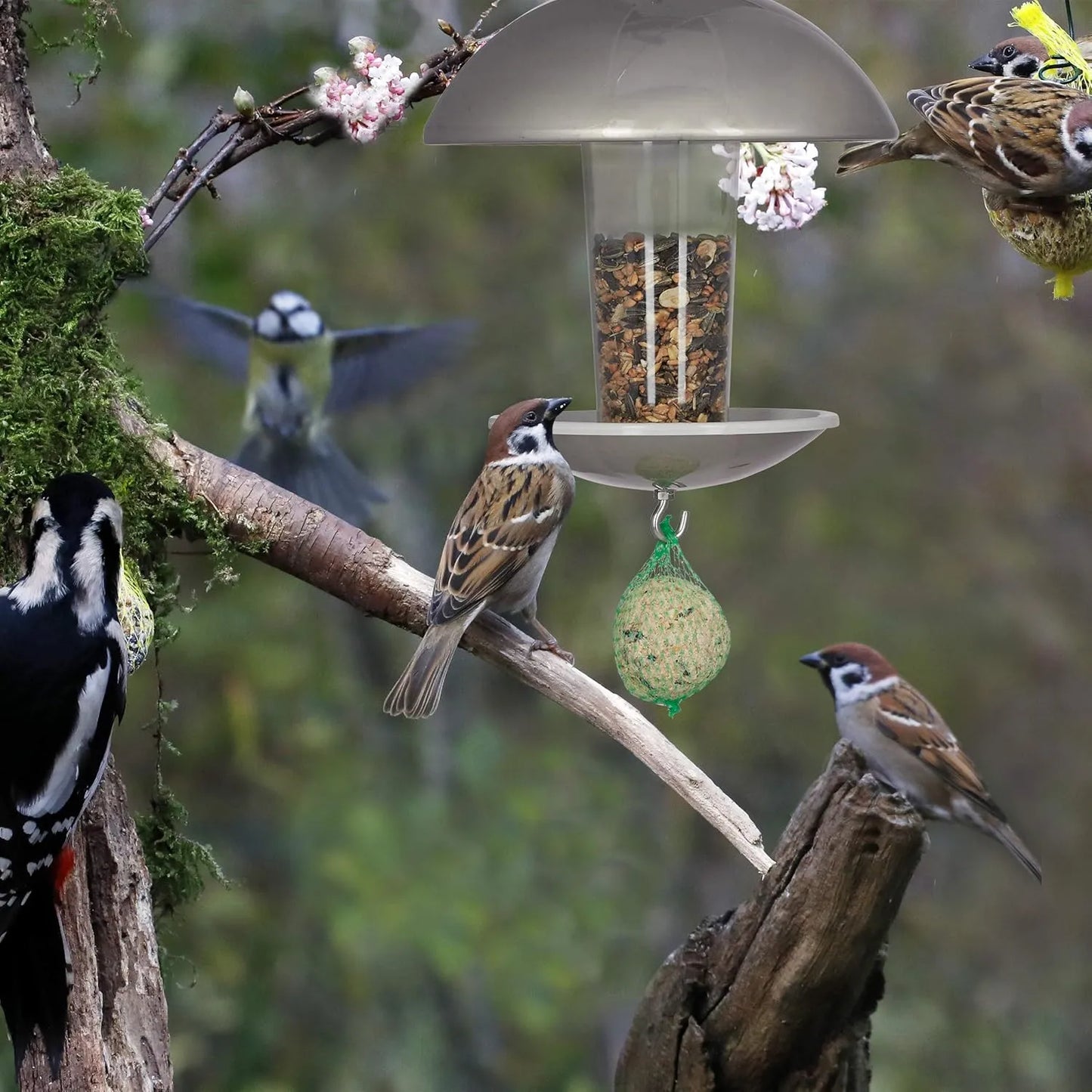 Bathouse Bird Feeder, Feeder for Birds, Hanging or Staked