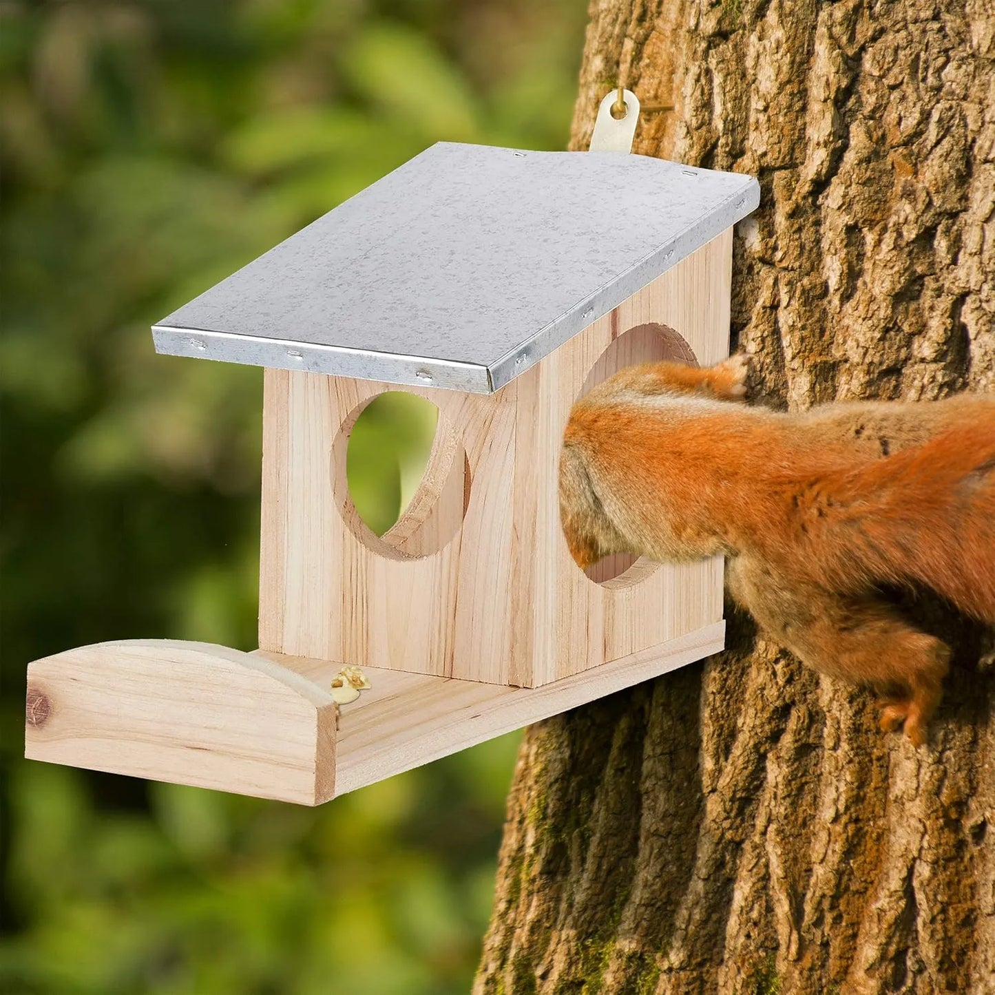 Bathouse Squirrel and Bird Feeder Weatherproof Metal Roof