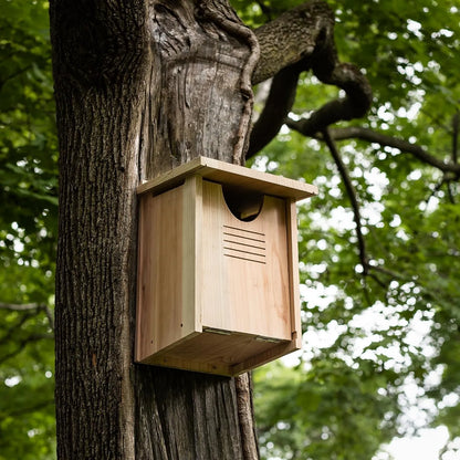 Bathouse Large Cedar Owl House