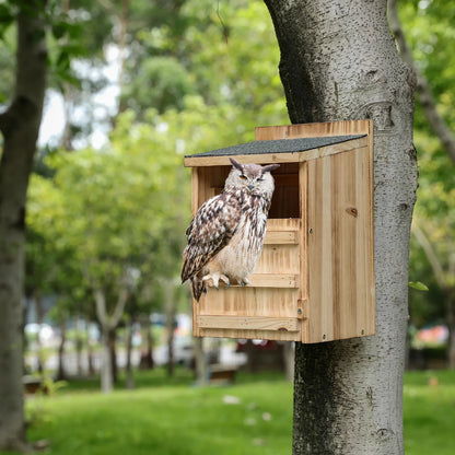 Bathouse Owl house wooden building set for adults pre-built owl box